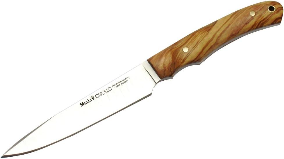 MuelaCRIOLLO-14.OL Olivewood Handle Hunting Knife with Leather Sheath