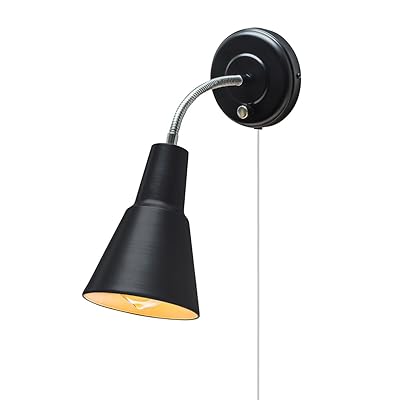 Globe Electric 65312 Ramezay Chrome Matte Black