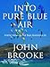 Into Pure Blue Air by John David Lionel Brooke