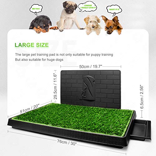 outdoor dog grass patch