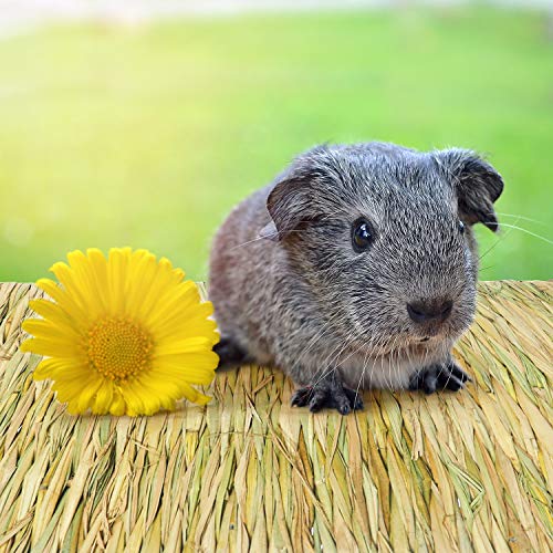 5 Pack Grass Mat Woven Bed Mat, Small Animal Natural Straw Bedding Nest Mat Chew Toys Bed Play Toy for Guinea Pig Parrot Rabbit Bunny Hamster Rat (3 Large 2 Small)