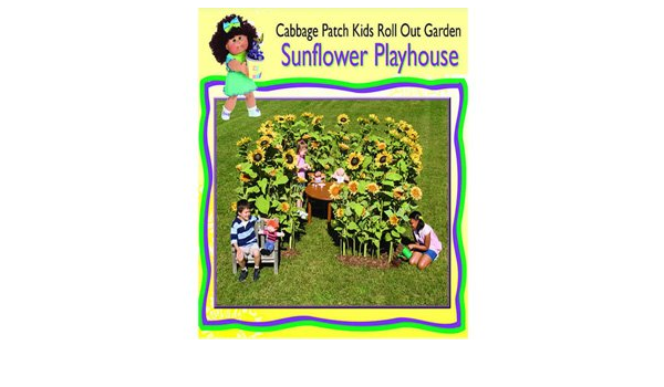 cabbage patch kids growing in the garden