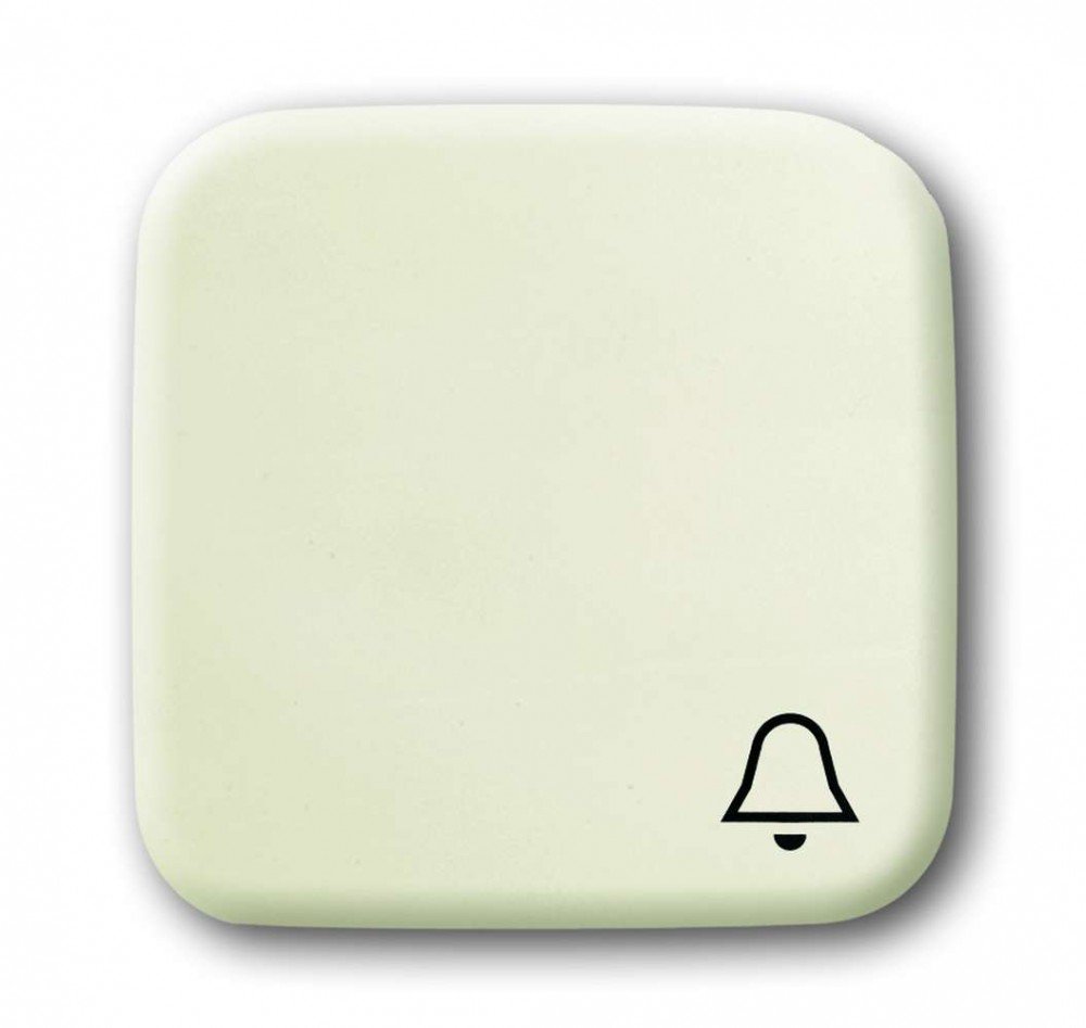 Busch-Jaeger 2520 Ki Rocker Switch Cover