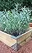 GardenFrame Raised Garden Bed Kit (Garden Steel)thumb 1
