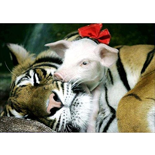 Fanyunhan 5D Embroidery Paintings Rhinestone Pasted DIY Diamond Painting Cross Stitch Animal
