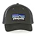 Patagonia P-6 LoPro Trucker Hat (Forge Grey)