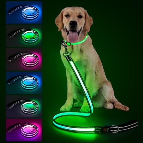 Visinite LED Dog Leash