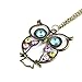 Caetle Big Eye Hollow Owl Bird Love Lover Chain Necklace