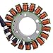 Generator Stator Fits Can-Am Outlander/Outlander Max/Renegade 330 400 450 500 570 650 800 800R 850 1000 1000R 2003-2018 | OEM Repl.# 420296907/420684850 / 420685920