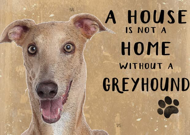 Small (150 x 200mm) Metal Sign - A House is Not a Home - Greyhound