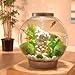 biOrb CLASSIC 60 Aquarium with LED Light - 16 Gallon, Silver