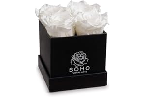 Soho Floral Arts | Roses in A Box | Genuine Roses that Last for Years (Black Square 4ct, White) | Mothers Day Gifts