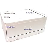Compra Porexpan 30-0280 Caja Hielo Seco 13 en Amazon.es