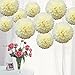 Bekith 30 Piece 10 inch Tissue Paper Pom Poms Flower Ball Wedding Party Outdoor Decoration