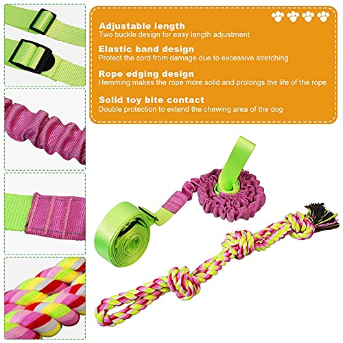 Outdoor Dog Bungee Toy, Interactive Hanging Dog Tree Tug Toy for