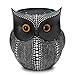 APPS2Car Owl Holder [6 inch Tall] for Echo Dot 2nd 1st Generation Speaker, Crafted Dots Owl Case Stand for Amazon Alexa Round Dot for Home Decor (Black)