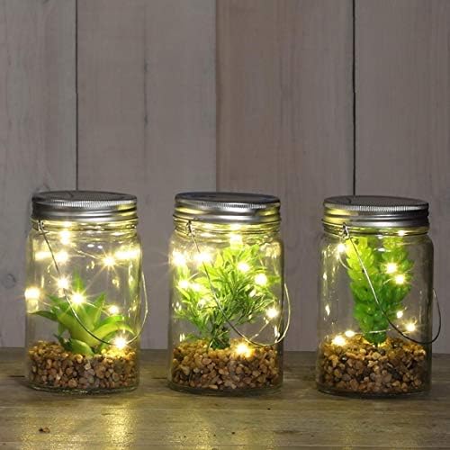 Noma Garden Triple Pack Artificial Succulent Plant in 15cm Mason Jar Glass Bottle with LED Lights
