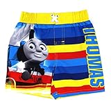 Thomas & Friends Boys 2T-4T Thomas the Tank Engine Swim Trunk