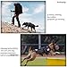 Tactical Dog Vest Training Molle Harness-Tactical Dog Backpack-Pet Tactical -Vest Military Working Harness for Large Dog