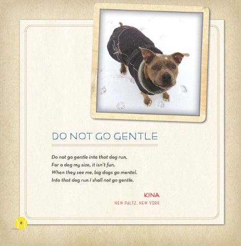 Throw the Damn Ball: Classic Poetry by Dogs
