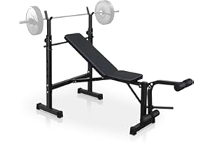 LSKSSNG Folding Olympic Weight Benches for Home Gym, Bench Press Rack with Squat Rack with Squat Rack, Adjustable Workout Benches for Dumbbell Exercise, Workout Bench for Home Gym Full-Body