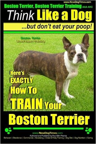 boston terrier puppy training