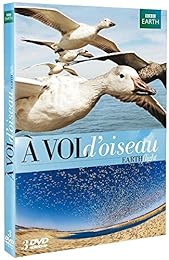 À Vol D'oiseau