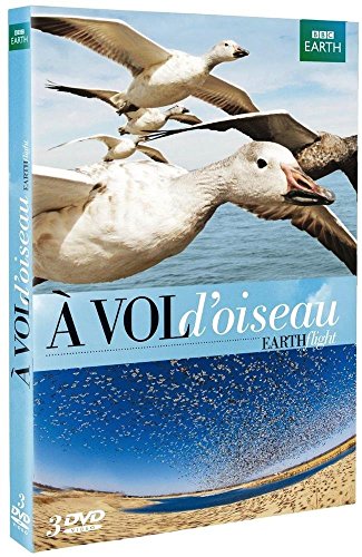 À Vol D'oiseau