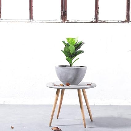Amazon Com Fighch Retro Oval Cement Plant Pot Living Room Green
