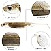 Dr.Fish Paddle Tail Swimbaits, Soft Fishing Lures for Bass Fishing, Freshwater Soft Plastic Baits Swim Shad Bait Minnow Lures Drop Shot 2.7 Inches Brown