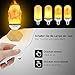 Texsens LED Flame Effect Light Bulb, E26 Flickering Flame Light Bulbs, 105pcs 2835 LED Beads Simulated Decorative Light Atmosphere Vintage Flaming Light Bulb for Bar/Festival Decoration