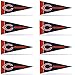 Chicago Bears Mini Pennant Set: 8-Pack