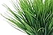 JUYO VONSAN® Faux Grass Plant Artificial Plants 8pcs Artificial Plastic Wheat Grass for Indoor Outside Home Garden Office Decoration (8)