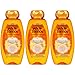 Garnier Hair Care Whole Blends Illuminating Shampoo with Moroccan Argan & Camellia Oils Extracts for Dry Hair, 22 Fl Oz (Pack of 3)