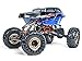 Redcat Racing Rockslide-RS10-XT-24 Crawler, Black/Blue