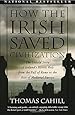 How the Irish Saved Civilization: The Untold Story of Ireland's Heroic Role From the Fall of Rome to the Rise of Medieval Europe (The Hinges of History)
