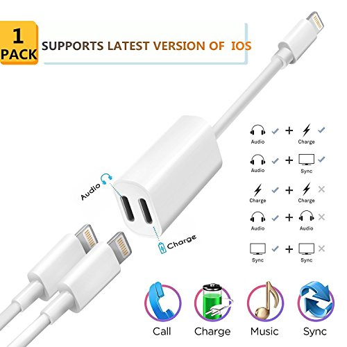 Dual Ports Adapter Splitter