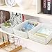 Lesbin Plastic Storage Trays Baskets/Organizing Baskets, 13.2 Inches x 9.6 Inches x 3.6 Inches, Set of 6 (White)
