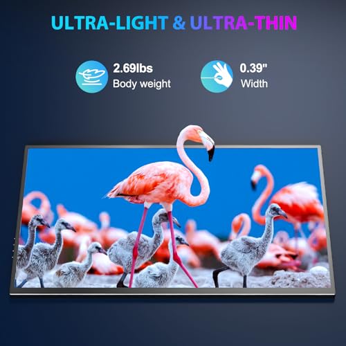 COOLHOOD Portable Monitor, 18.5 Inch 120Hz Portable IPS Screen 1080P HDR, Portable Monitor with VESA Mini HDMI/USB C for Laptop, Phone, Mac, PS5