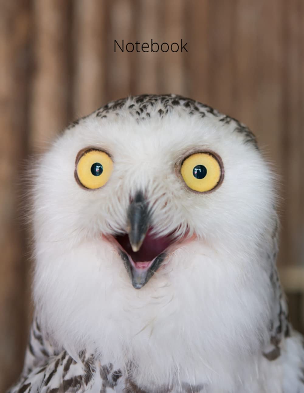 Notebook (Owl Notebook)