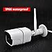 WiFi Camera Outdoor Wireless IP Security Camera with Night Vision up to 65ft Motion Detection Alarm/Recording, Support Max 64GB SD Card (External) AT-100BW