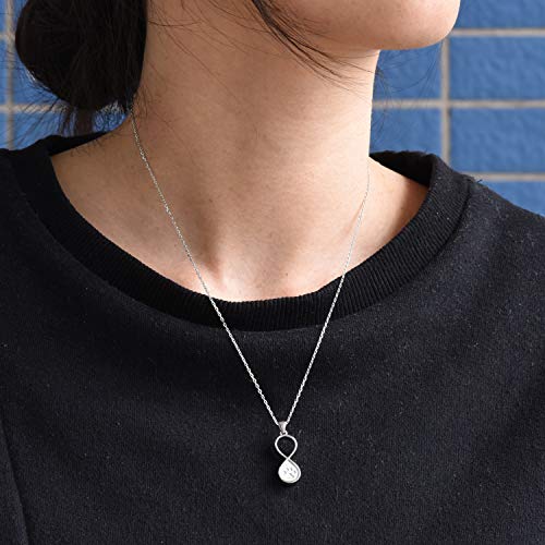 BEILIN Pet Paw Print Cremation Jewelry S925 Sterling Silver Keepsake Memorial Urn Necklace for Ashes w/Funnel Filler Kit (Infinity)