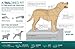 Kurgo Loft Dog Jacket, Reversible Dog Coat, Wear with Harness or Sweater, Water Resistant, Reflective, Winter Coat For Large Dogs (Deep Violet, L)