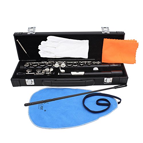 Anmas Home 16 Key Closed Hole C Flute With Case,Cleaning Rod,Cloth,Joint Grease and Screw Driver (Black)