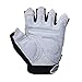 Padded Weight Lifting Gloves for Workout Gym Fitness Training, Weight lifting, Bodybuilding and CrossFit, Best for Men & Women