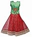 Ashwini Girls' Netted Lehenga Choli