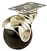 Shepherd Hardware 9517 2-Inch Office Chair Plate Caster, Bright Brass Hooded Ball,Black