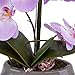 Flower Arrangement with Decorative Vase Full Artificial Orchid Plant with Real Looking (Light Purple)