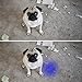 UV Flashlight Black Light UV Lights,Blacklight 2020 Upgraded 51 LED Ultraviolet Pet Urine Detector for Dog/Cat Urine,Dry Stains,Bed Bug,Scorpion Detection,Matching with Pet Odor Eliminator