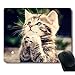 Cute Cat is Praying Unique Design Lovely Kitten Personality Mouse Pad